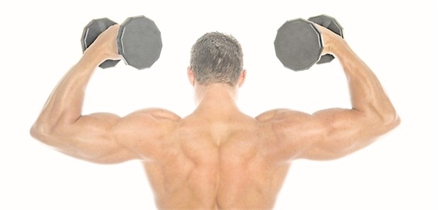 7 Regeln über bodybuilder steroide, die gebrochen werden sollen