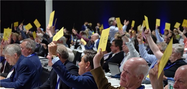 Die 250 Ärztetags-Delegierten absolvierten am Mittwoch einen Abstimmungsmarathon, um Beschlüsse zum Schwerpunktthema Ärztegesundheit zu fassen.