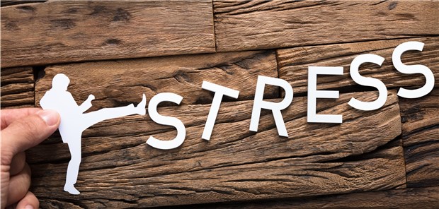Was sich die Deutschen für 2020 vornehmen Die Absicht, Stress zu vermeiden, ist seit Beginn der jährlichen Erhebung im Jahr 2011 noch nie so populär gewesen wie 2019, berichtet die DAK.