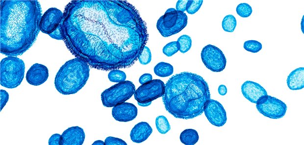 EU und Pharma spenden Mpox-Vakzine an Afrika Die Africa CDC hat laut EU-Kommission bzgl. Mpox am 13. August eine gesundheitliche Notlage der kontinentalen Sicherheit ausgerufen.