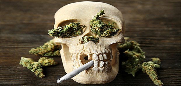 Wann kommt das Kiffen für alle? Die Angst vor Cannabis ist noch weit verbreitet: Die Bundesdrogenbeauftragte und manche Suchttherapeuten wollen ein generelles Verbot beibehalten; viele Politiker und andere Ärzte fordern die Freigabe.