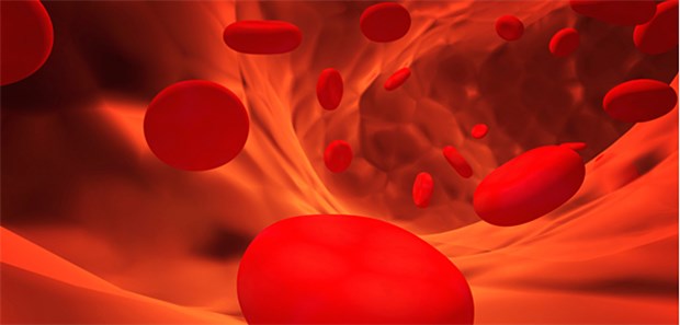 Individuelle Therapien mit Blutatlas Die Ausreifung von Blutzellen hängt auch von RNAs ab.