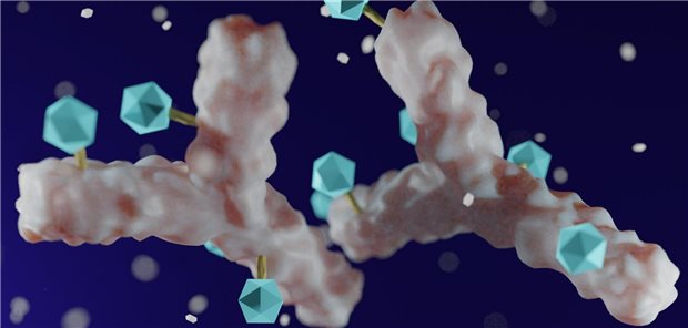 Die Autoren der beiden Studien, DREAMM-7 und DREAMM-8, resümieren, dass die gewonnenen Daten darauf hindeuten, dass sich Belantamab-Mafodotin gut als Kombipartner einer Therapie für Personen mit rezidivierendem oder therapierefraktärem Multiplem Myelom eigne.