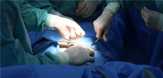 Die Autorinnen und Autoren resümieren, dass die Explantationsraten von Mesh-Einlagen, Mesh-bedingte Re-Operationsraten und Mesh-bedingte Komplikationen bei nachfolgenden Bauchoperationen gering waren. Die Verwendung von Onlay- und Retrorektus-Netzen scheint mit unterschiedlichen Komplikationen verbunden zu sein, aber es wurden keine signifikanten Unterschiede bei der Inzidenz dieser festgestellt. 