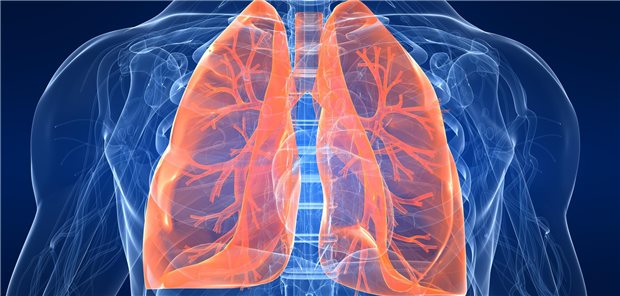 Die Autorinnen und Autoren resümieren, dass die Ergebnisse ihrer Beobachtungsstudie verdeutlichen, dass die Symptome und Vitalzeichen bei älteren Erwachsenen mit Pneumonie variieren. Notärztinnen und -ärzte sollten deshalb auch bei Fehlen oder verzögertem Auftreten typischer Symptome an eine Pneumonie denken.