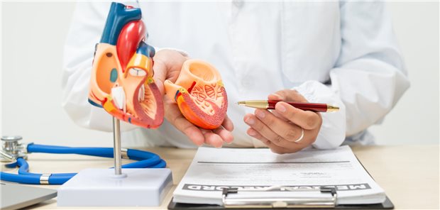 Die Autorinnen und Autoren resümieren, dass ein systematisches Screening auf eine Beteiligung der Atemmuskulatur in Verbindung mit aktiver Beatmung, sofortigem Einsatz von Abatacept und der zusätzlichen Gabe von Ruxolitinib die Sterblichkeitsrate bei einer ICI-induzierten Myokarditis senken kann.