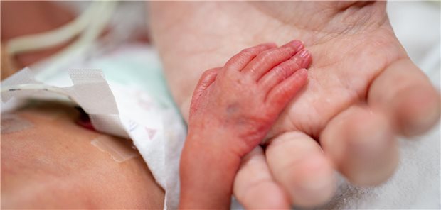 Die Hand eines frühgeborenen Kindes liegt in der Hand eines Erwachsenen.