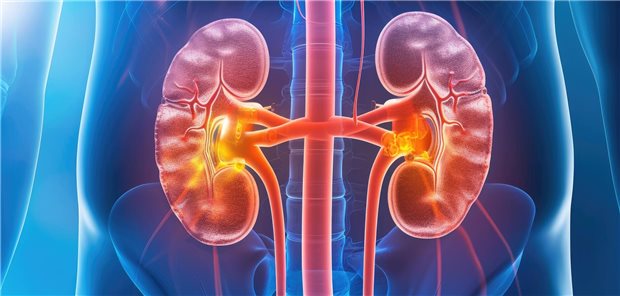 Die Autorinnen und Autoren resümieren, dass es sinnvoll sei  die dynamischen Veränderungen der eGFR in die Definition der chronischen Niereninsuffizienz aufzunehmen, da sie eng mit dem Risiko für terminales Nierenversagen und der Mortalität verknüpft seien. 