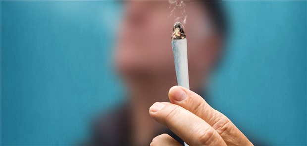 Kiffen erhöht das kardiovaskuläre Risiko Eine qualmende Zigarette