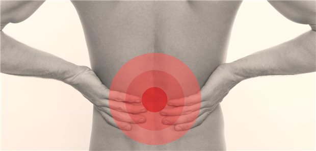 Fokus auf den Rücken