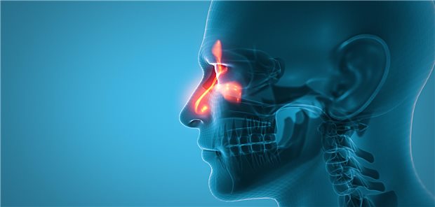 Auf einem Modellbild wird die Atmung mit Farbe betont.