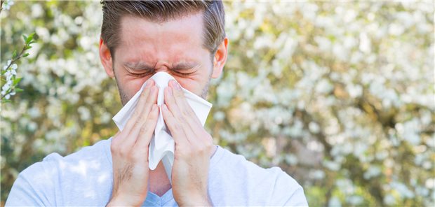 Ein Mann schnäuzt sich aufgrund einer allergischen Rhinitis die Nase.