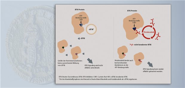 Die BTK ist Bestandteil des B-Zell-Rezeptor-Signalwegs, der Proliferation, Differenzierung und Überleben von B-Zellen steigert. Der nicht kovalente Inhibitor Pirtobrutinib hemmt die BTK auch bei mutierter ATP-Bindungsstelle.  Lilly Deutschland GmbH