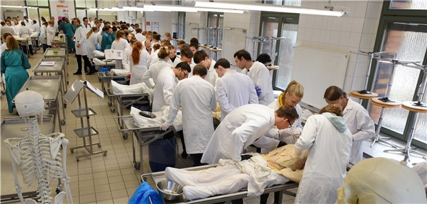 Die Bewerbung auf Medizinstudienplätze in Sachsen-Anhalt per Landarztquote ist ab sofort möglich. 