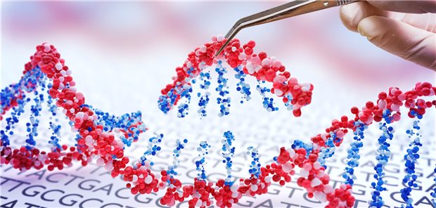 Die CRISPR-Cas9-Technik eignet sich besonders für die Therapie bei monogenetischen Erkrankungen wie ATTR-Amyloidose.