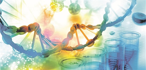 Chinas neue Boom-Hoffnung Die DNA, der Stoff, aus dem biopharmazeutische Träume sind.