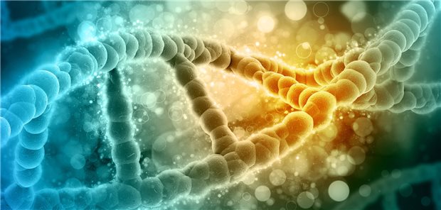 Juristen und Ethiker sezieren somatische Gentherapien Die DNA eröffnet viele Möglichkeiten: Neue somatische Gentherapien werfen dabei rechtliche, ethische und biomedizinische Fragen auf.