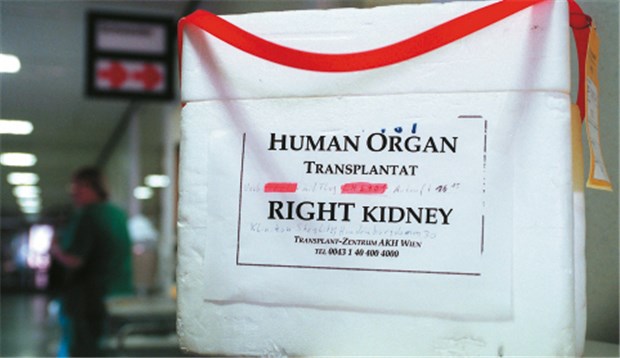 EU will Empfänger von Organen - keine Chance dem Organhandel Die EU plant Mindeststandards für Organspenden. © Kalaene / dpa
