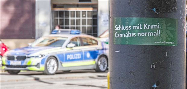 Cannabis-Legalisierung: Ärzte sehen Gefahren für die Gesundheit Die Entkriminalisierung von Cannabis würde den Schwarzmarkt nicht beseitigen, sagt GdP-Bundesvorsitzender Oliver Malchow.