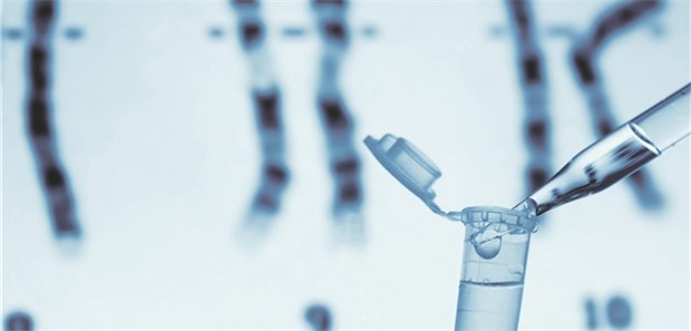 Welche Patientinnen profitieren vom MammaPrint-Test? Die Expression von 70 Genen analysiert der MammaPrint-Test.