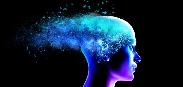 Die Forschenden nahmen die langfristigen Auswirkungen der essenziellen Metalle Kobalt, Kupfer, Mangan und Zink, sowie der nicht-essenziellen Metalle Arsen, Cadmium, Blei, Wolfram und Uran auf die kognitiven Funktionen in den Blick.