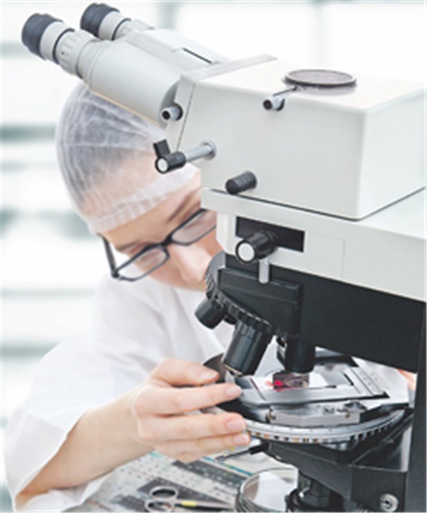 Gewebereaktion kann Krebs vortäuschen Die Forscher untersuchten Mastektomiepräparate von Frauen, die sich vor Entfernung der Brustdrüse einer Biopsie unterzogen hatten.