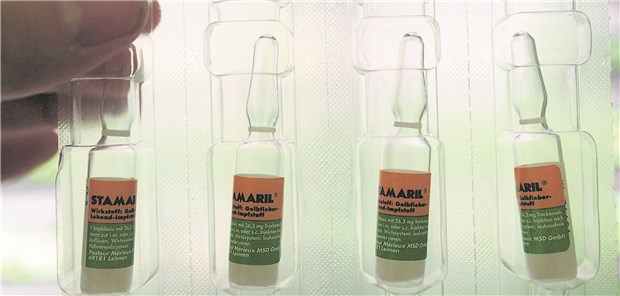 Die Gelbfieber-Impfung wird aktuell für alle Brasilien-Urlauber empfohlen.