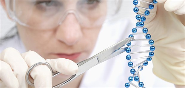 Sind Gentech-Baukästen für Zuhause eine Gesundheitsgefahr? Die Genschere für Zuhause: Baukästen aus den USA bieten die Möglichkeit, Bakterien am Küchentisch zu verändern.