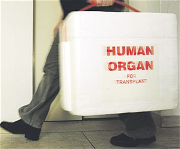 Vetternwirtschaft? Gutachten entlastet DSO nur teilweise Die Gewinnung menschlicher Organe für Transplantationen organisiert in Deutschland die DSO. Seit Monaten ist sie im Gerede.