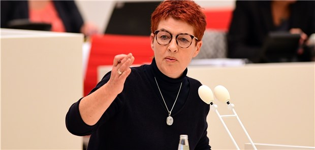 „Approbation unter Vorbehalt“ für Stettiner Ärzte? Die Grünen-Abgeordnete Carla Kniestedt, Mitglied im Gesundheitsausschuss des Landtags, will sich für eine zügige Lösung des Approbationsproblems einsetzen.