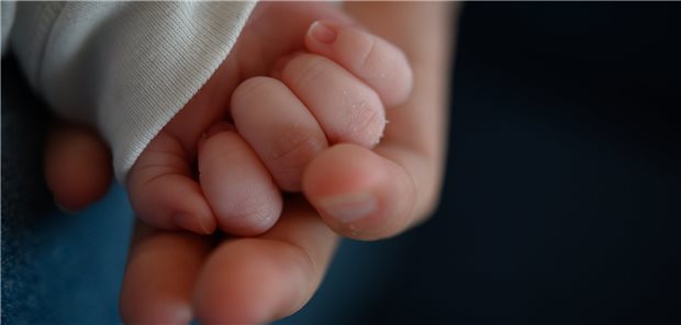 Baby-Boom in der Pandemie: Geburtenziffer ist gestiegen Die Hand eines zwei Wochen altes Neugeborenen liegt in der Hand seiner Mutter. In der Coronapandemie sind die Geburtenzahlen deutlich nach oben gegangen.