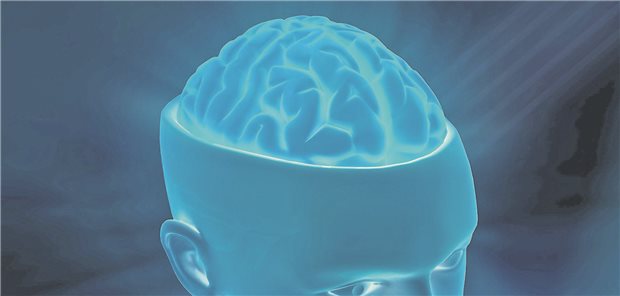 Bild eines Gehirns
