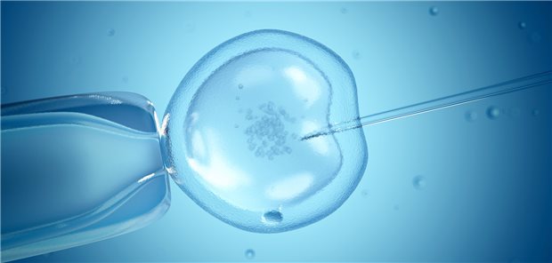 künstliche Befruchtung, IVF, In-vitro-Fertilisation, ICSI
