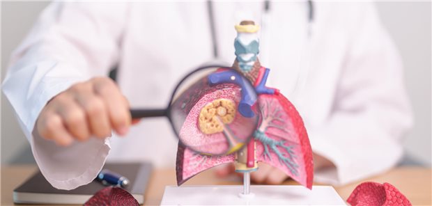 Lupe vor Lungenmodell