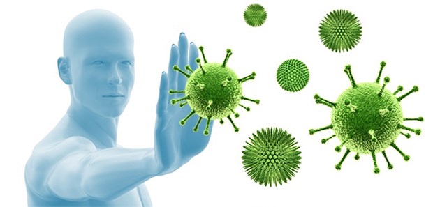Rausschmeißer und flexible Retter in der Not Die Immunabwehr ist äußerst komplex. Erst vor wenigen Jahren haben Forscher Innate Lymphoid Cells (ILCs) entdeckt.