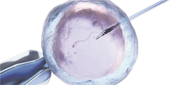 Die In-vitro-Fertilisation ist eine Option unter den assistierten Reproduktionstechniken. (3D-Illustration)
