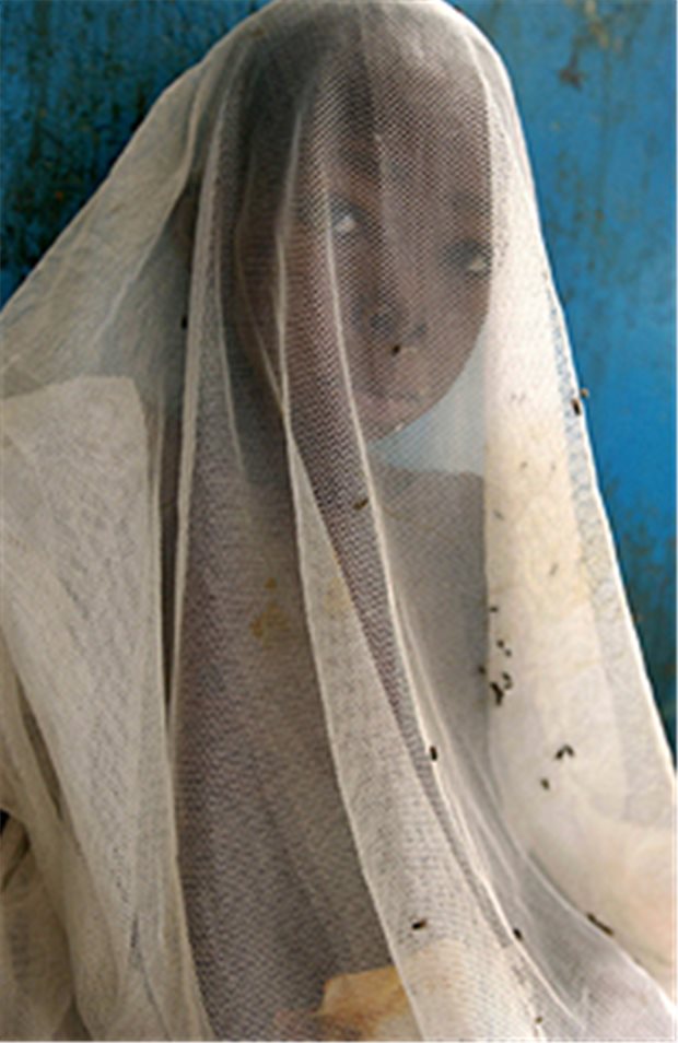 Weltweiter Sieg über Malaria in greifbarer Nähe Die Infektionen durch Malaria wurden dank präparierter Moskitonetze verringert.