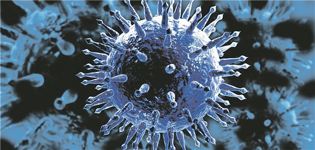 Die Influenza-Viren sind im Kommen.