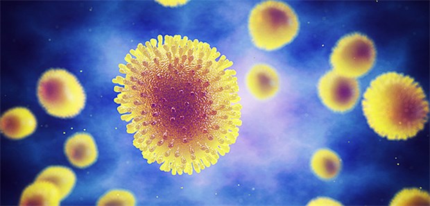 26 neue Grippe-Fälle gemeldet Die Influenza-Viren sind wieder unterwegs.