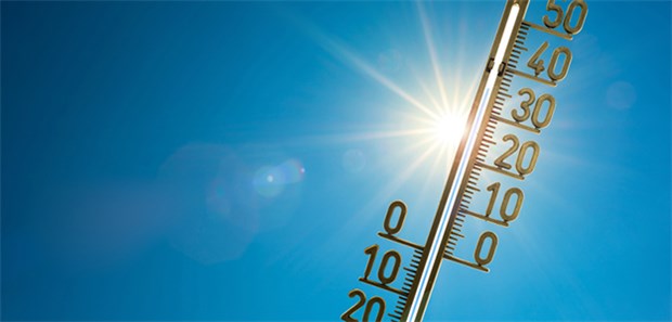 Start in die Hitze-Woche Die Junirekord-Temperatur von 38,2 Grad könnte in den nächsten Tagen geknackt werden.