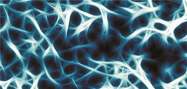 Die Knochenmineraldichte ist ein wichtiger Marker für die Beurteilung des Frakturrisikos.