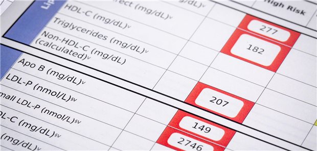 Konstellation von Gesamtcholesterin, HDL, LDL und Triglyzeriden 