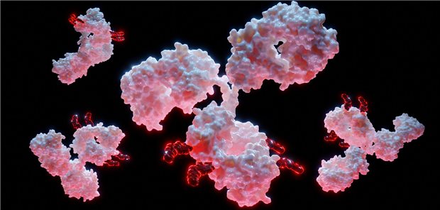 Dreidimensionales Rendering von Antikörper-Wirkstoff-Konjugat-Molekülen - ADC - mit zytotoxischer Nutzlast zur adjuvanten Therapie bei Tumoren.