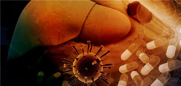 Die Leber, Hepatitis-E-Viren und gezielte Therapie im Fokus: Forscherinnen und Forscher wollen Entscheidungshilfen für die Behandlung bei Hepatitis E entwickeln.
