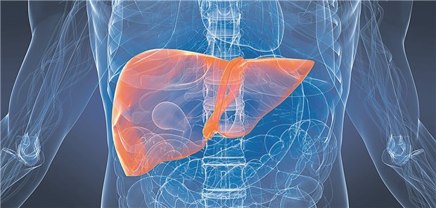 Die Leber kann sich auch nach einem Paracetamol-induzierten Leberversagen wieder regenerieren. Doch gibt es einen Biomarker, mit dem rechtzeitig erkannt werden kann, ob doch eine Transplantation erforderlich ist?
