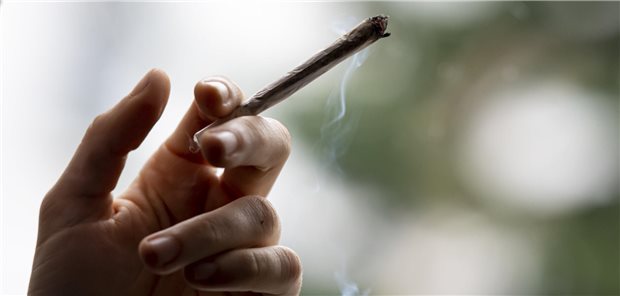 Gesundheitsausschuss stimmt Cannabis-Freigabe zu Die Legalisierung von Cannabis rückt in Deutschland immer näher.