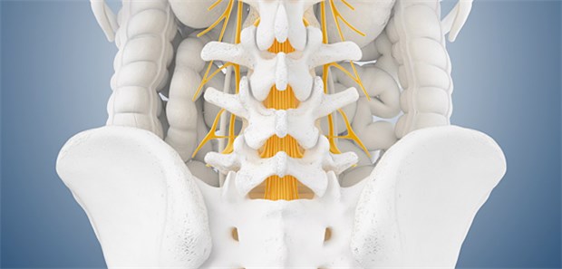Die Lendenwirbelsäule: Patienten, die hier eine schwere Spinalkanalstenose hatten, waren die Teilnehmer einer Studie zu Op-Techniken.