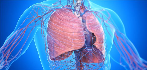 Die Mediziner um Prof. Dr. Bhavinkumar Dalal weisen darauf hin, dass eine durch einen Zahn verursachte Aspirationspneumonie nicht ganz selten sei. Betroffen seien meist Traumapatienten und/oder Patienten, bei denen im Bereich des Gesichtsschädels operiert werden musste. Neurologische Erkrankungen erhöhen das Risiko deutlich.