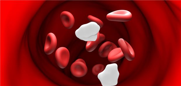 3D-Illustration von Glucose im Blut