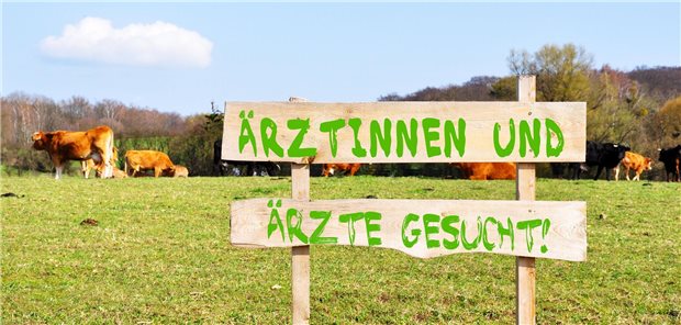 Ein Schild mit der Aufschrift &quot;Ärztinnen und Ärzte gesucht&quot; steht vor einer Weide.